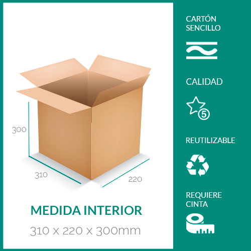 caja-carton-sencillo-310-x-220-x-300
